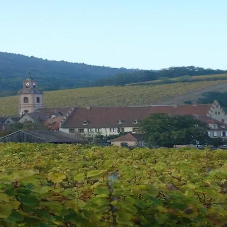 An Apartment In A 17Th Century Wine Grower S House Riquewihr Buitenkant foto