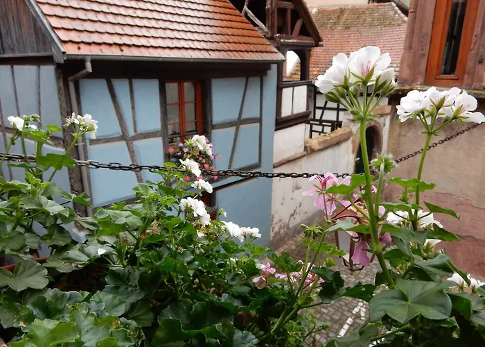 An Apartment In A 17Th Century Wine Grower S House