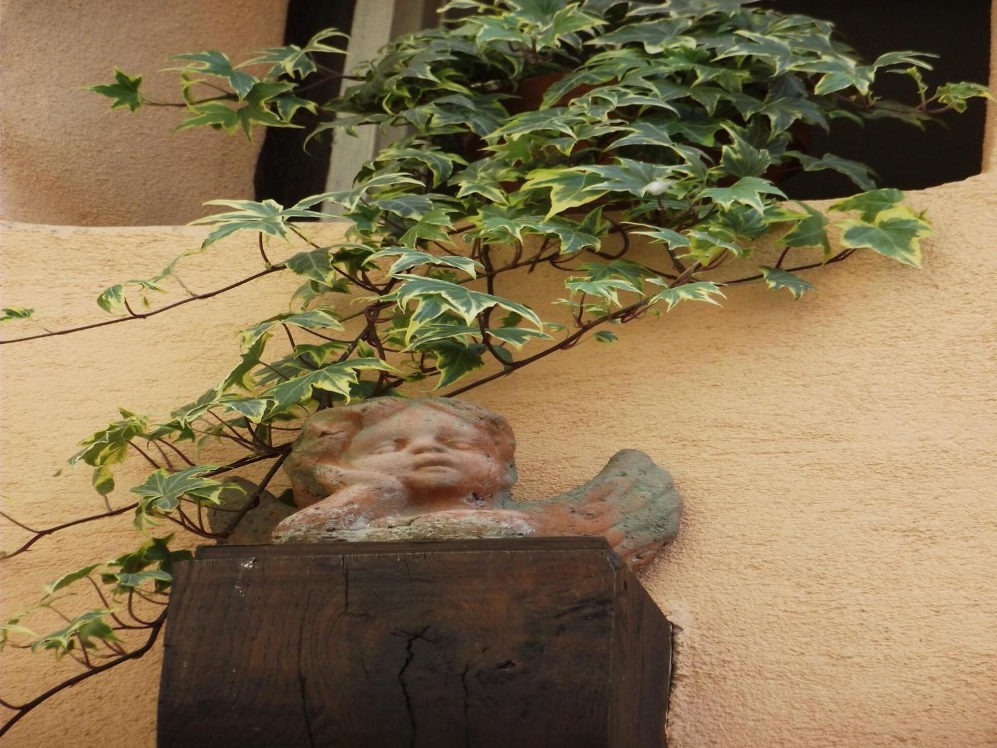 An In A 17th Century Wine Grower S House