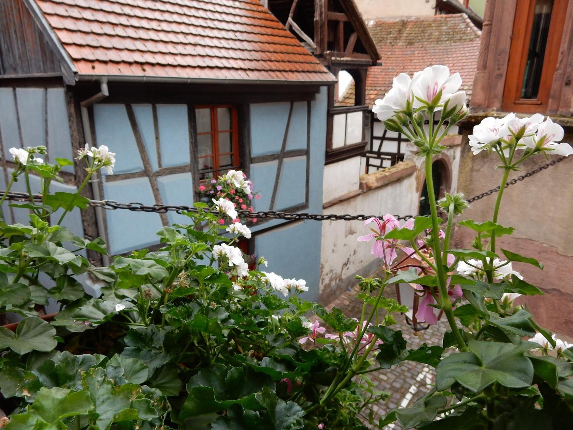 An In A 17th Century Wine Grower S House